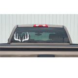 Deer Antler Decal – Pair of Shed Antler Vinyl Window Stickers 7618
