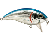 Bull Nose SW
