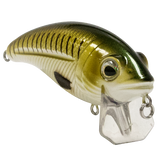Bull Nose SW