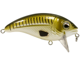 Bull Nose SW