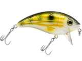 Bull Nose SW