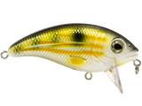 Bull Nose SW
