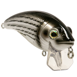 Bull Nose SW