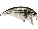 Bull Nose SW