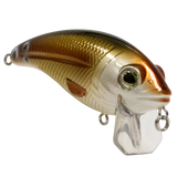 Bull Nose SW
