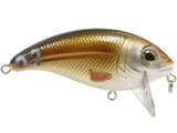 Bull Nose SW