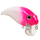 Bull Nose SW