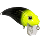 Bull Nose SW