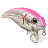 Bull Nose SW