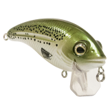 Bull Nose SW