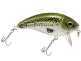 Bull Nose SW