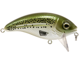 Bull Nose SW