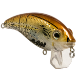 Bull Nose SW