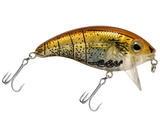 Bull Nose SW