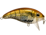 Bull Nose SW