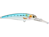 Voyager 15 SW