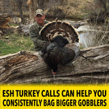 All Weather Box Call
