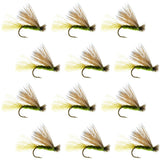 Barbless Olive X Caddis Emerging Caddis Adult Fly - 12 Flies Size 16