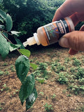 Mystic Polyglandular Gland Scent