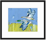 Duck Krausing Mallard Ducks Fine Art Print