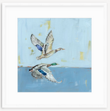 Soaring High Ducks Fine Art Print