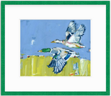 Duck Krausing Mallard Ducks Fine Art Print