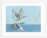 Soaring High Ducks Fine Art Print