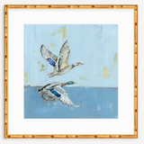Soaring High Ducks Fine Art Print