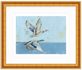 Soaring High Ducks Fine Art Print
