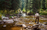 Long Tail Skwala Stone - Squalla Stonefly Dry Fly - 12 Flies Hook Size 10