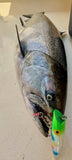 Ice Strong Outdoors - Killer Fish - Rattling TROLLING PLUG UV - 6 PLUG & BOX SPECIAL BACK IN STOCK
