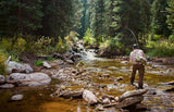 Brown Para Drake Extended Body Dry Fly - 12 Flies Size 12