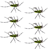 Barbless Pat's Barred Rubber Legs Tungsten Bead Jigged Black/Chartreuse Euro Nymph  - Set of 6 Flies Hook Size 6