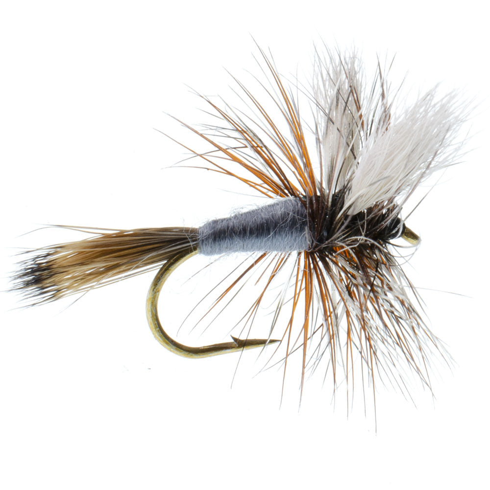 Basics Collection - Wulff Dry Fly Assortment - 10 Dry Fishing Flies ...