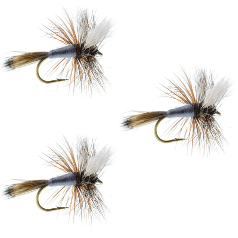 3 Pack Adams Wulff Classic Dry Fly