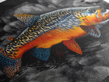 Rainbow Trout, Colorful Fish, Bold Patterns, River Stream – Framed Canvas Print, Fishing Wall Art, Cabin Decor, Rustic Wildlife
