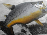 Golden Trout, River Rocks, Fishing Moment, Canvas Print, rustic lakehouse decor, angler gift wall art, fish print, cabin lodge artwork