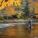Orange Asher Midge Trout Dry Fly - 6 Flies Size 20