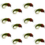 Bead Head Olive Brown Caddis Larva Nymph 12 Flies - Hook Size 16
