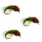 3 Pack Bead Head Olive Brown Caddis Larva Nymph Hook Size 16