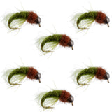 Bead Head Olive Brown Caddis Larva Nymph 6 Flies - Hook Size 16