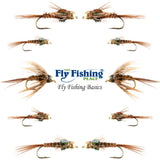 Basics Collection - Bead Head Pheasant Tail Nymph Assortment - 10 Wet Flies - Hook Sizes 14, 16, 18