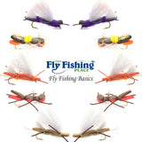 Basics Collection - Chernobyl Ant Foam Dry Fly Assortment - 10 Dry Fishing Grasshopper Flies - 5 Patterns - Hook Size 10