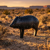 Pro Hunter Javelina Archery Target with EZ Pull Foam