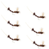 Brown Para Drake Extended Body Dry Fly - 6 Flies Size 12