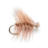 Eastern Trout Fly Assortment - 24 Essential Dry and Nymph Fly Fishing Flies Collection - Trout Flies with Gift Fly Box