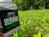 Clutch Clover™ Food Plot Seed