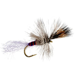Purple Haze Cripple Mayfly  12 Flies Hook Size 16