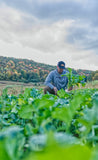 Show Stopper™ Food Plot Seed