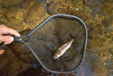 Native Brook Net